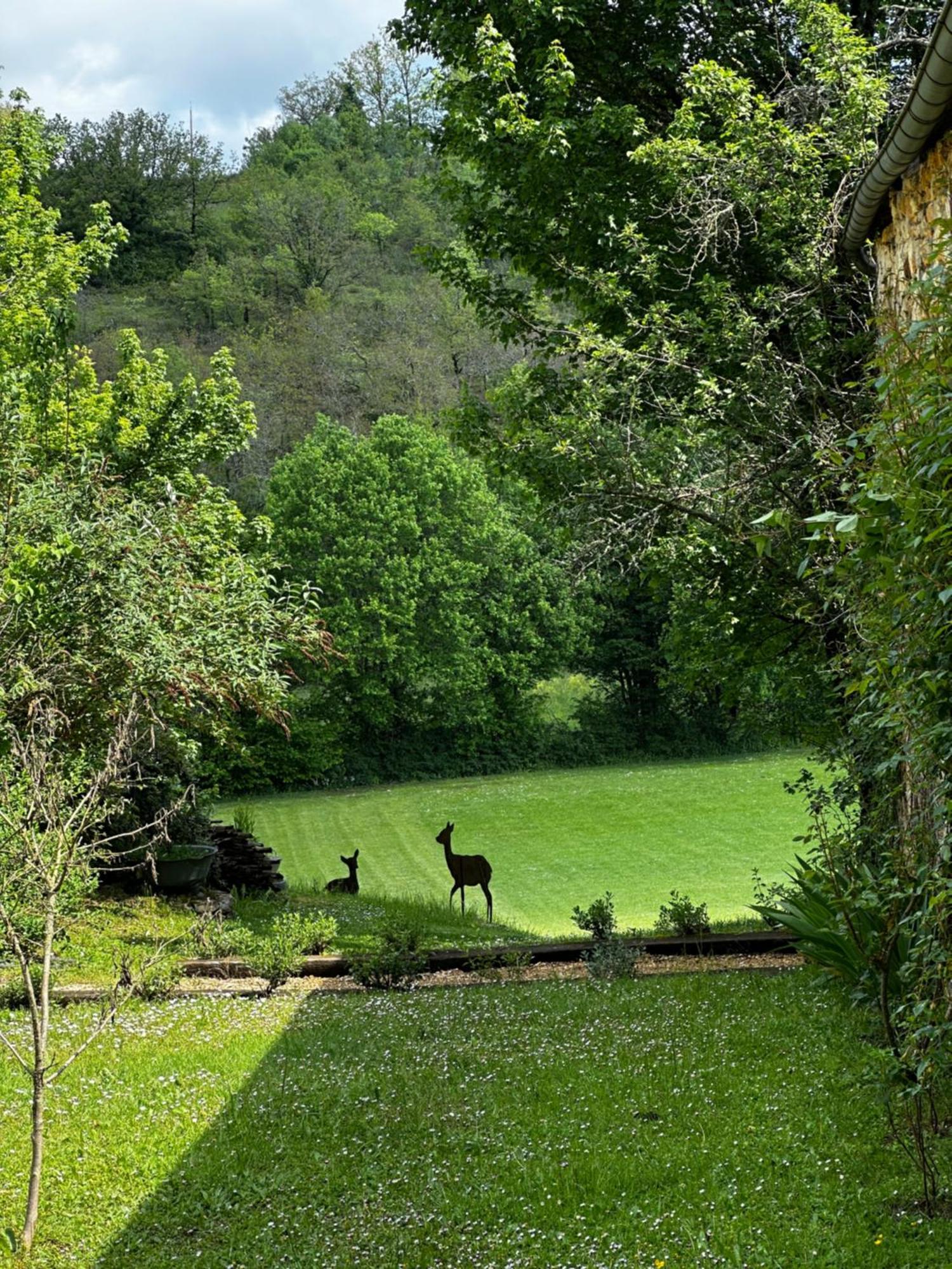 Le Vallonnet Gite Le Vigan  Zewnętrze zdjęcie